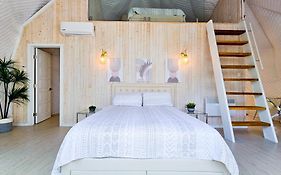 Dome Le Scandinave